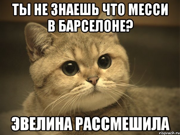 ТЫ НЕ ЗНАЕШЬ ЧТО МЕССИ В БАРСЕЛОНЕ? ЭВЕЛИНА РАССМЕШИЛА, Мем Пидрила ебаная котик