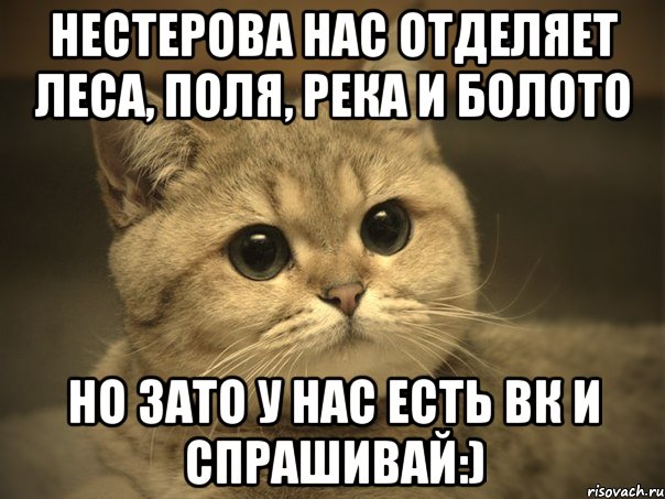 нестерова нас отделяет леса, поля, река и болото но зато у нас есть вк и спрашивай:), Мем Пидрила ебаная котик