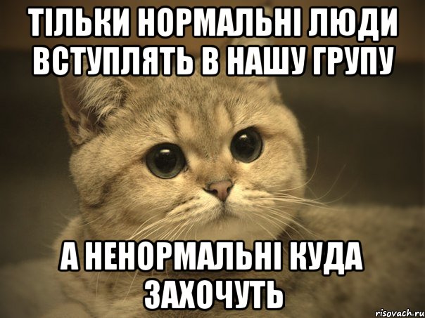 тільки нормальні люди вступлять в нашу групу а ненормальні куда захочуть, Мем Пидрила ебаная котик