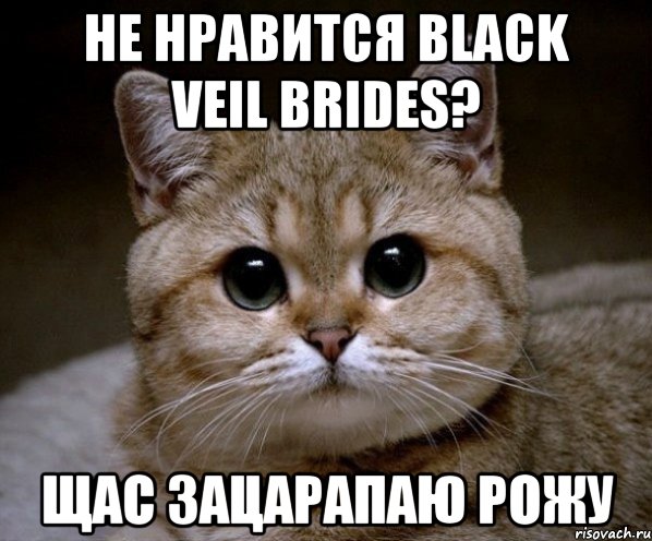 не нравится black veil brides? щас зацарапаю рожу, Мем Пидрила Ебаная