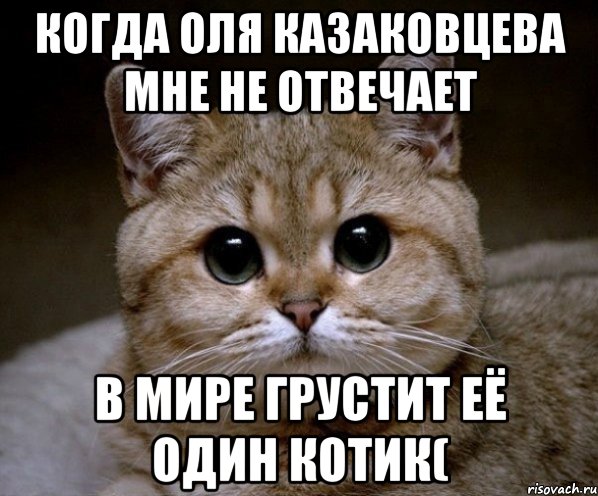 когда оля казаковцева мне не отвечает в мире грустит её один котик(, Мем Пидрила Ебаная