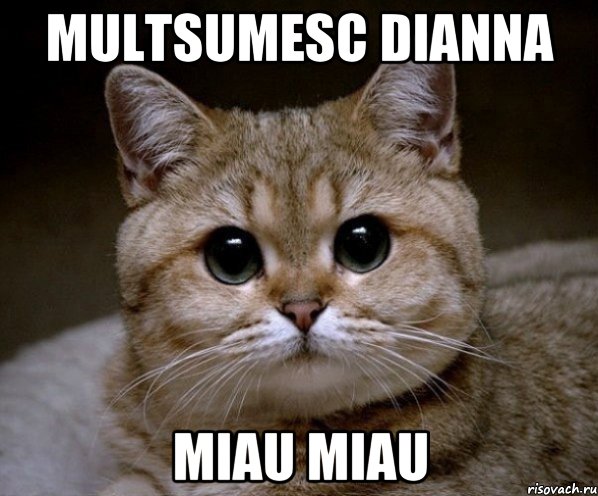 Multsumesc Dianna Miau miau, Мем Пидрила Ебаная