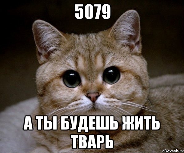 5079 а ты будешь жить тварь, Мем Пидрила Ебаная