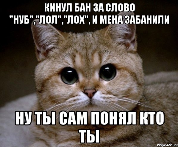 Кинул бан за слово "нуб","лол","лох", и мена забанили ну ты сам понял кто ты, Мем Пидрила Ебаная