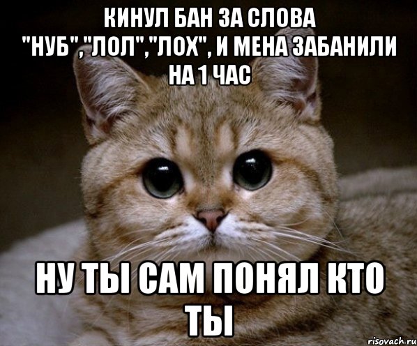 Кинул бан за слова "нуб","лол","лох", и мена забанили на 1 час ну ты сам понял кто ты, Мем Пидрила Ебаная