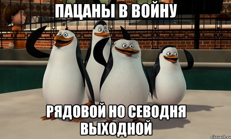 пацаны в войну рядовой но севодня выходной, Мем  пингвины Мадагаскара