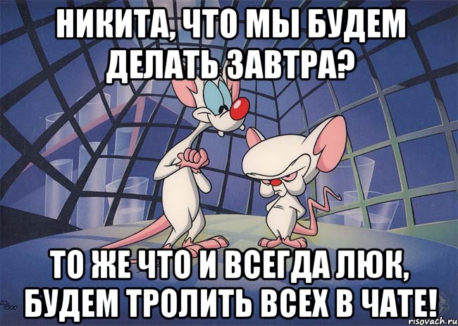 никита, что мы будем делать завтра? то же что и всегда люк, будем тролить всех в чате!