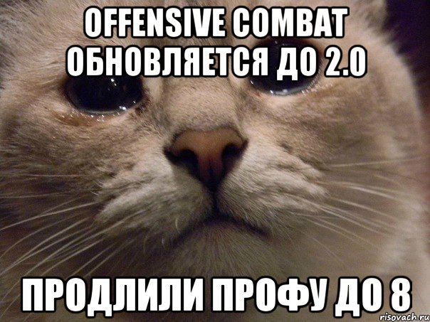 Offensive Combat обновляется до 2.0 продлили профу до 8, Мем   В мире грустит один котик