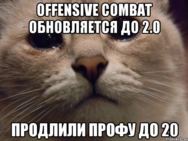 Offensive Combat обновляется до 2.0 продлили профу до 20, Мем   В мире грустит один котик