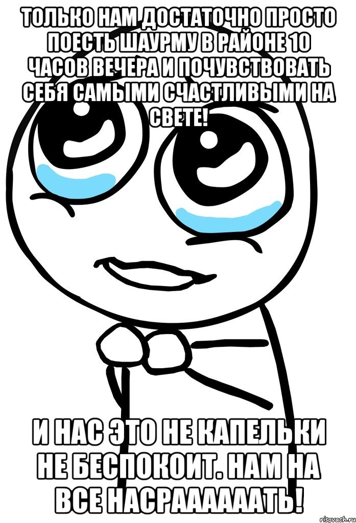 только нам достаточно просто поесть шаурму в районе 10 часов вечера и почувствовать себя самыми счастливыми на свете! и нас это не капельки не беспокоит. нам на все насраааааать!, Мем  ну пожалуйста (please)