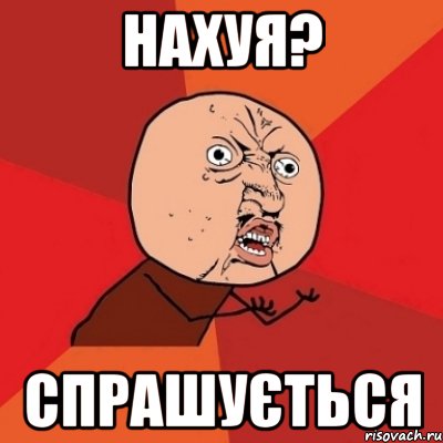 нахуя? спрашується, Мем Почему