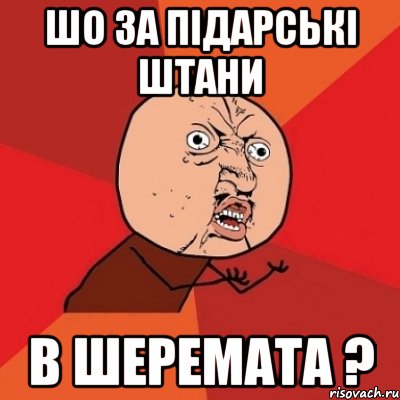 шо за підарські штани в шеремата ?, Мем Почему