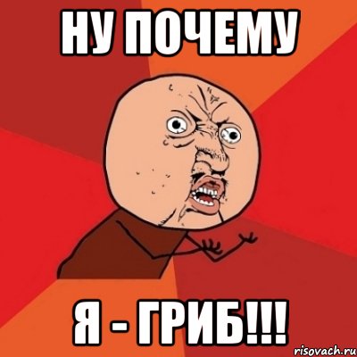 Ну почему я - ГРИБ!!!, Мем Почему