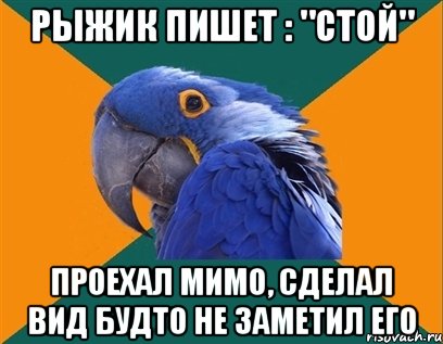 рыжик пишет : "стой" проехал мимо, сделал вид будто не заметил его, Мем Попугай параноик