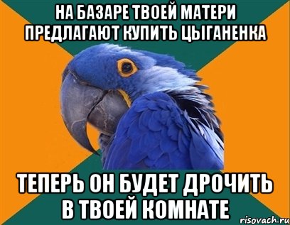 на базаре твоей матери предлагают купить цыганенка теперь он будет дрочить в твоей комнате, Мем Попугай параноик