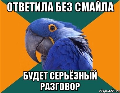 ответила без смайла будет серьёзный разговор, Мем Попугай параноик