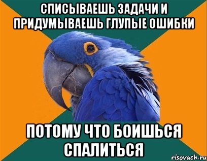 списываешь задачи и придумываешь глупые ошибки потому что боишься спалиться, Мем Попугай параноик