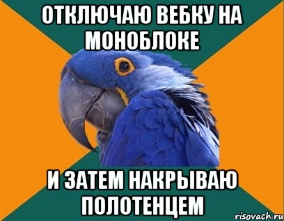 отключаю вебку на моноблоке и затем накрываю полотенцем, Мем Попугай параноик