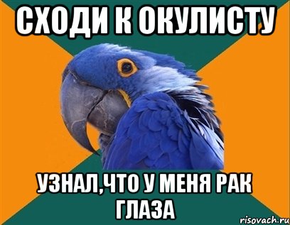 Сходи к окулисту Узнал,что у меня РАК ГЛАЗА, Мем Попугай параноик