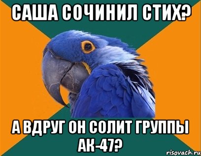 Саша сочинил стих? А ВДРУГ ОН СОЛИТ ГРУППЫ АК-47?, Мем Попугай параноик