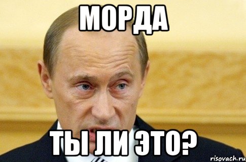 морда ты ли это?, Мем путин