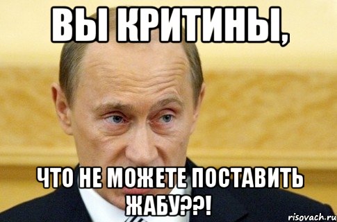 вы критины, что не можете поставить жабу??!, Мем путин