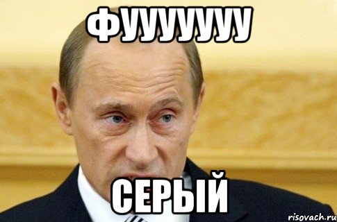 фууууууу серый, Мем путин