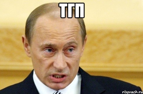 тгп , Мем путин