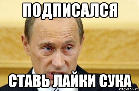 подписался ставь лайки сука, Мем путин