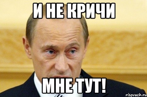 и не кричи мне тут!, Мем путин