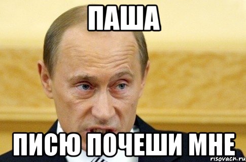 паша писю почеши мне, Мем путин