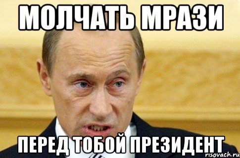 молчать мрази перед тобой президент, Мем путин