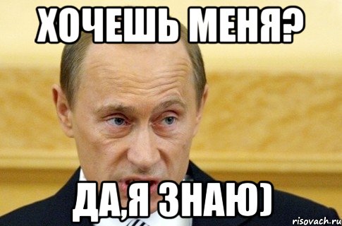 хочешь меня? да,я знаю), Мем путин