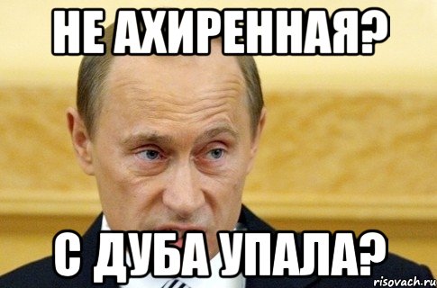 не ахиренная? с дуба упала?, Мем путин