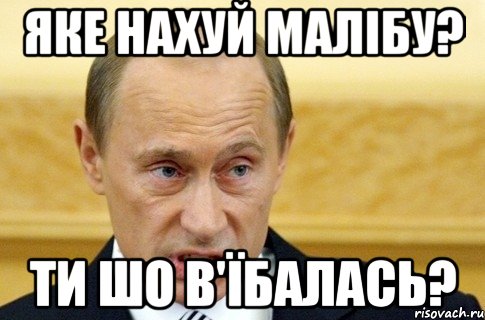 яке нахуй малібу? ти шо в'їбалась?, Мем путин