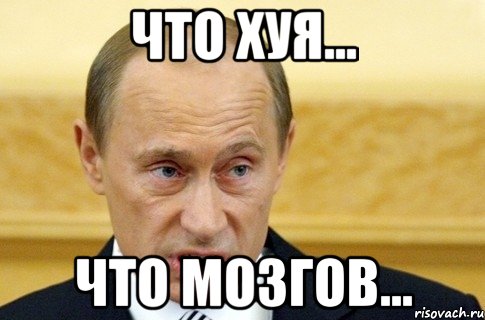 что хуя... что мозгов..., Мем путин