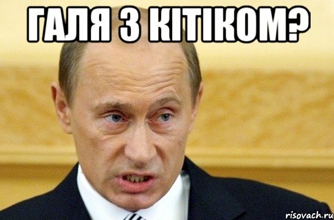 ГАЛЯ З КІТІКОМ? , Мем путин