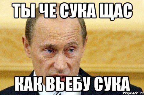 Ты че сука щас Как вьебу сука, Мем путин