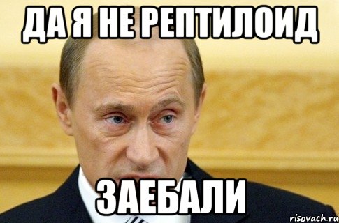 Да я не рептилоид заебали, Мем путин