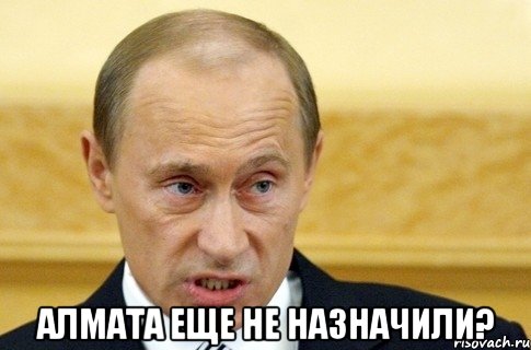  Алмата еще не назначили?, Мем путин