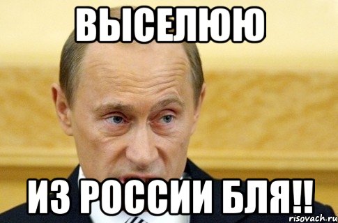 Выселюю из россии бля!!, Мем путин