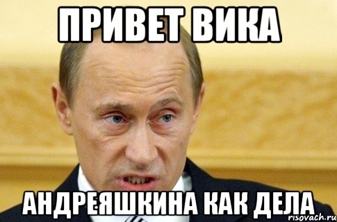 привет вика Андреяшкина как дела, Мем путин