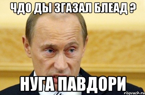 Чдо ды згазал блеад ? нуга павдори, Мем путин