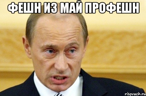 фешн из май профешн , Мем путин