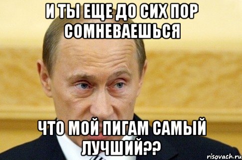 И ты еще до сих пор сомневаешься что мой Пигам самый лучший??, Мем путин