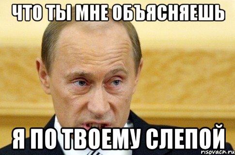 что ты мне объясняешь я по твоему слепой, Мем путин