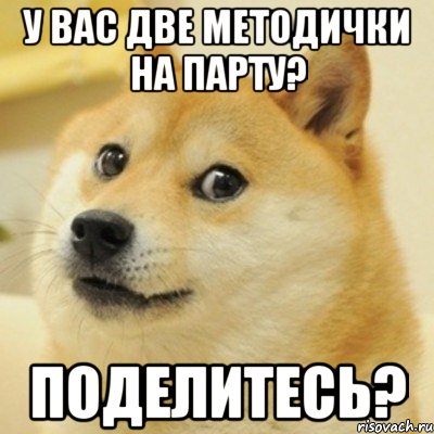 у вас две методички на парту? поделитесь?, Мем doge woof