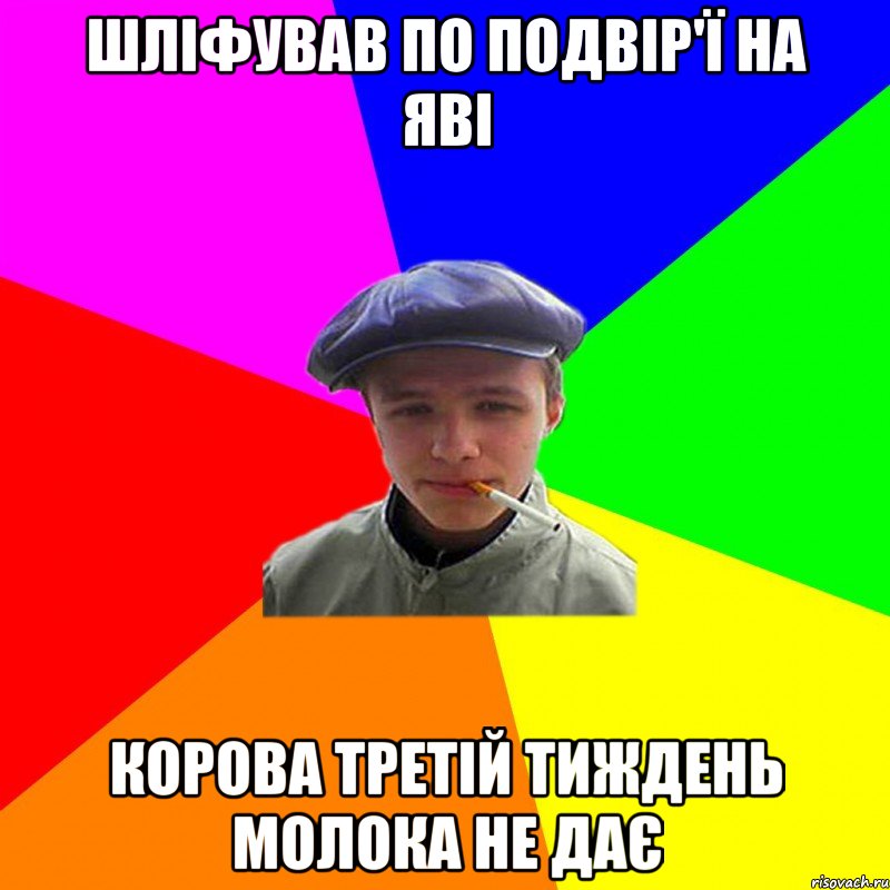 шліфував по подвір'ї на яві корова третій тиждень молока не дає, Мем реальний мужичяра