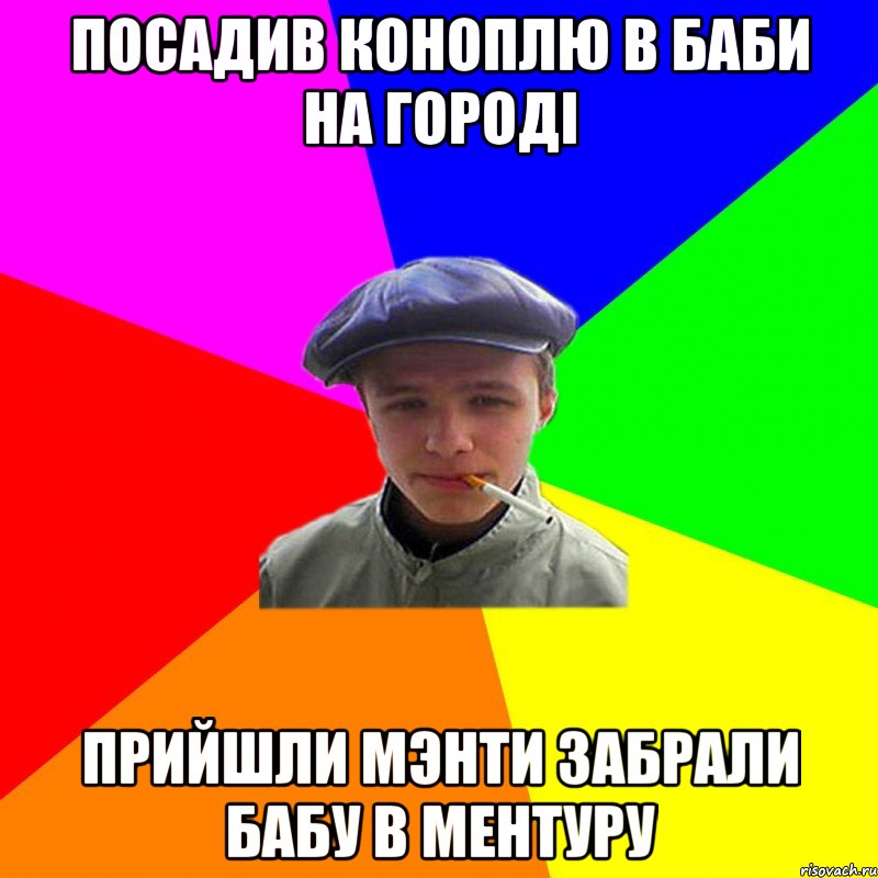 посадив коноплю в баби на городi прийшли мэнти забрали бабу в ментуру, Мем реальний мужичяра