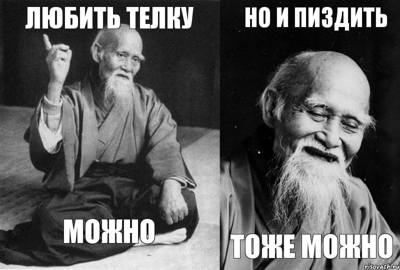 Любить телку можно Но и пиздить Тоже можно, Комикс Мудрец-монах (4 зоны)